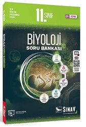 Sınav Yayınları 11. Sınıf Biyoloji Soru Bankası - 1