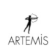 Artemis Yayınları