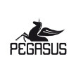 Pegasus Yayınları