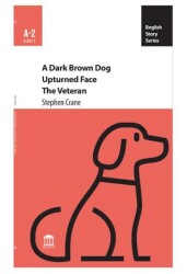 A Dark Brown Dog Upturned Face The Veteran - 1