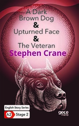 A Dark Brown Dog - Upturned Face - The Veteran - İngilizce Hikayeler A2 Stage 2 - 1