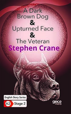 A Dark Brown Dog - Upturned Face - The Veteran - İngilizce Hikayeler A2 Stage 2 - 1