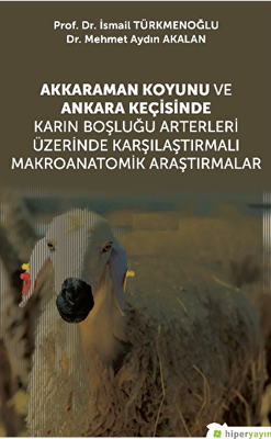 Akkaraman Koyunu ve Ankara Keçisinde Karın Boşluğu Arterleri Üzerinde Karşılaştırmalı Makroanatomik Araştırmalar - 1