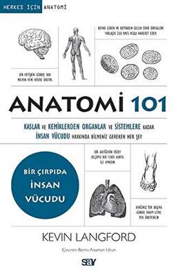 Anatomi 101 - 1