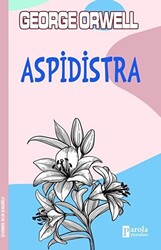 Aspidistra - 1