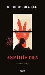 Aspidistra - 1