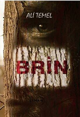 Brin - 1