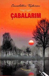 Çabalarım - Tulpars Yayınevi