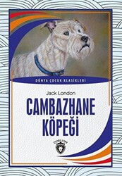 Cambazhane Köpeği - 1