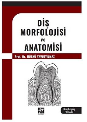 Diş Morfolojisi ve Anatomisi - 1