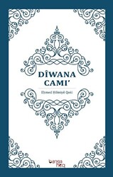 Diwana Cami - 1