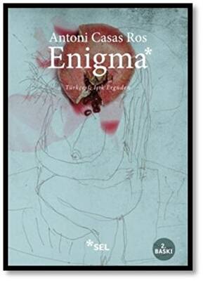 Enigma - 1