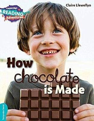 How Chocolate is Made - 1