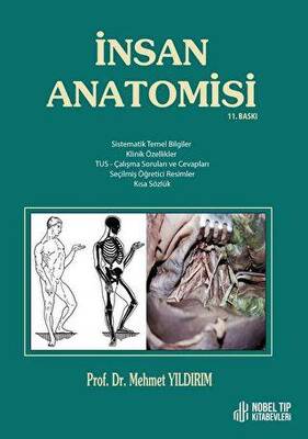 İnsan Anatomisi - 1