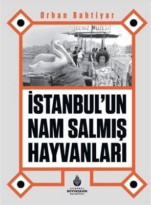İstanbul’un Nam Salmış Hayvanları - 1