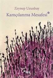 Kamçılanma Mesafesi - Sel Yayıncılık