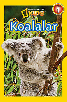 Koalalar - Seviye 1 - 1