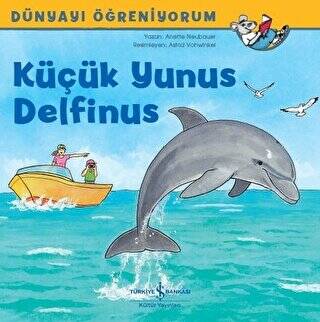 Küçük Yunus Delfinus - 1