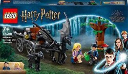 LEGO Harry Potter Hogwarts Araba ve Testraller 76400 - 1