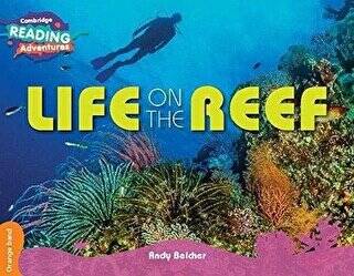 Life on the Reef - 1