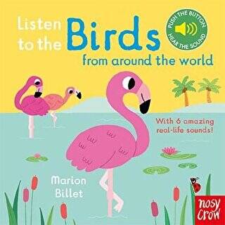 Listen to the Birds - 1
