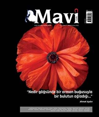 Mavi Gök Kültür Sanat Edebiyat Dergisi Sayı: 7 Mayıs - Haziran 2022 - 1