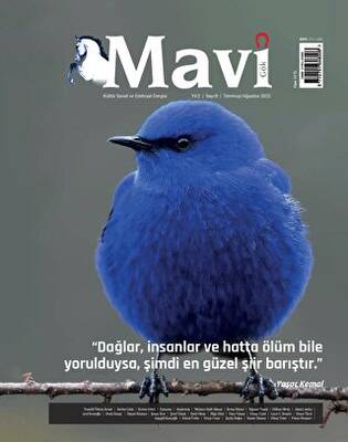 Mavi Gök Kültür Sanat Edebiyat Dergisi Sayı: 8 Temmuz - Ağustos 2022 - 1