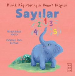 Minik Kâşifler için Hayat Bilgisi - Sayılar - Ketebe Çocuk