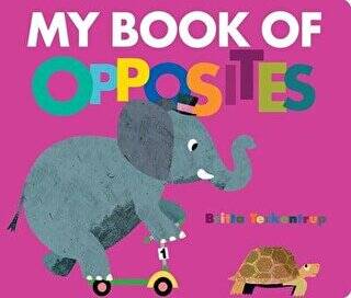 My Book of Opposites - 1