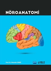 Nöroanatomi - 1