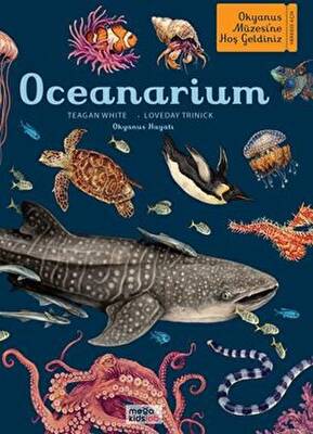 Oceanarium - 1