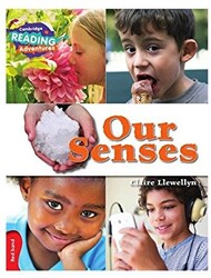 Our Senses - 1