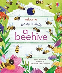 Peep Inside a Beehive - 1