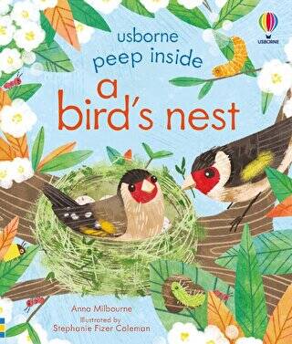 Peep Inside a Bird`s Nest - 1