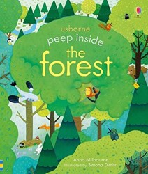 Peep Inside a Forest - 1