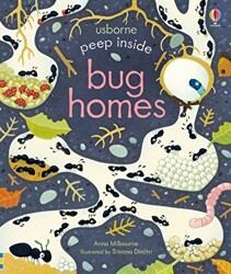 Peep Inside Bug Homes - 1