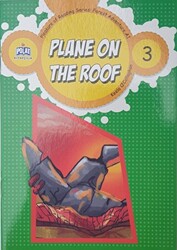 Plane On The Roof - 3 - 1