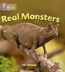 Real Monsters Big Cat Phonics-3 Yellow - 1
