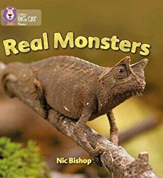 Real Monsters Big Cat Phonics-3 Yellow - 1