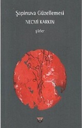 Şapinuva Güzellemesi - Bilgin Kültür Sanat Yayınları