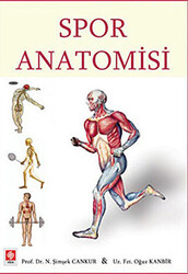 Spor Anatomisi - 1