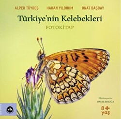 Türkiye’nin Kelebekleri - 1