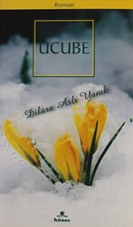 Ucube - 1