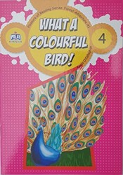 What a Colourful Bird ! - 4 - 1