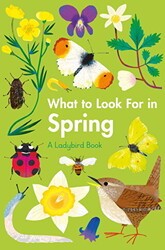 What to Look For in Spring - 1