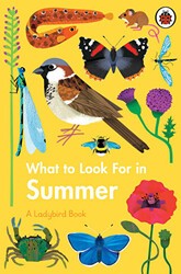 What to Look For in Summer - 1