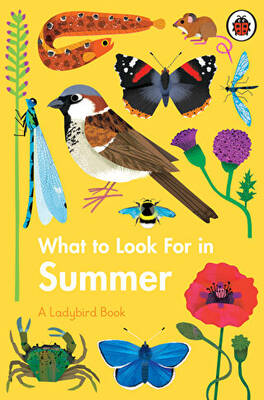 What to Look For in Summer - 1