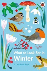 What to Look For in Winter - 1