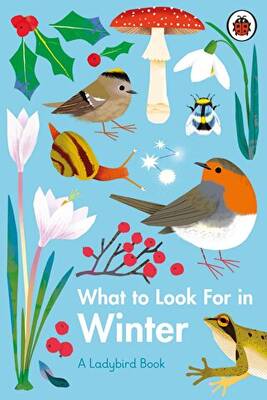 What to Look For in Winter - 1